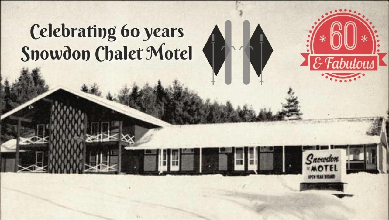 Snowdon Chalet Motel Londonderry Eksteriør billede